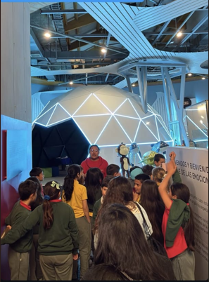 Cerebro 3